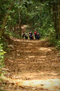 Wildlife Reserve La Ceiba Ecoadventures - 1