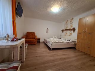 Casa Farcaș Bușteni - 4