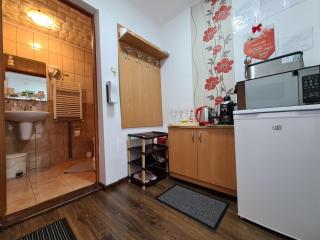 Casa Farcaș Bușteni - 5