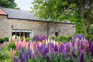 Chestnut Barn Cottage Whitby - 0
