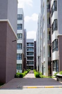 Roly Haven Studio Apartment - 8