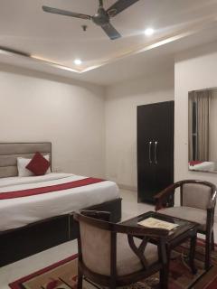 The Kasauli woods - 0