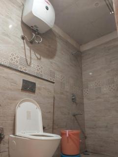 The Kasauli woods - 2