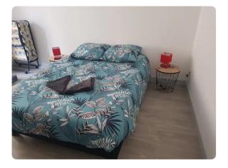 Petite maison cosy wifi avec terrasse - 9