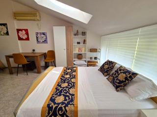 Studio elit1 forrent - 2