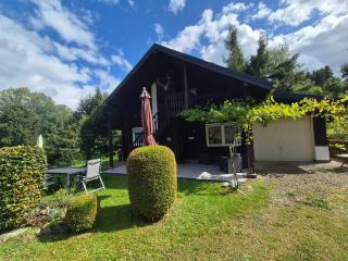 Steffis Hochwaldidyll - 7