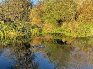 Short Stays on a Dutch Barge near Reading - 2