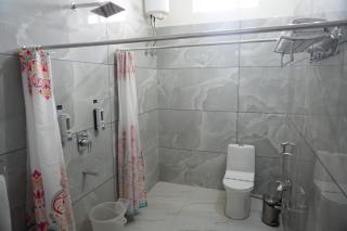 Bagh mahal by jungle vibes - 6