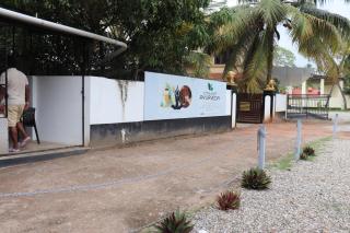 Turtle Island - Homestays - 7