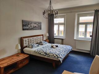 Local Zizkov Room - Near City Center - 6