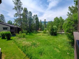 RMR: Hawthorne 222 Condo in The AspensWilsonWY - 4