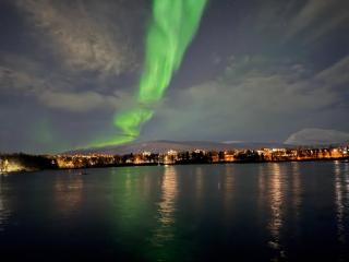 Urban Aurora - Apartment 2 - Free parking - 5