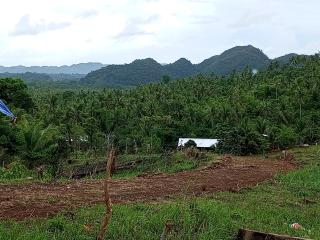 Philippine Mountain Eco Resort - 6