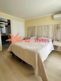 Liz Suites Providencia con balcón - 3