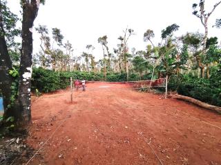 Himagni Homestay - Entire Villa - 8