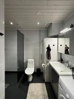 Cozy and peaceful holiday apartment in Levi - 6