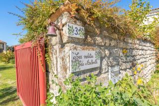 Les Violettes De Malleville - 6