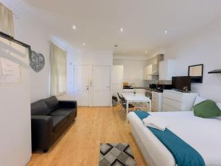 Specious studio flat in great Location - 1