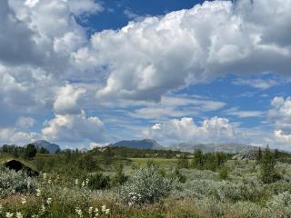 Svarthamar - cabin with amazing view - 5
