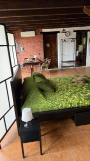 Loft Tortuga - 6