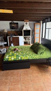 Loft Tortuga - 7