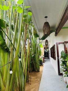 Small Family Homestay - 7