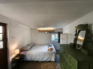 Agra Pet Studio I - 2