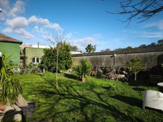 Agra Pet Studio I - 9