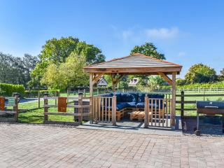Elm - Uk50463 - 7