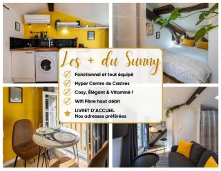 Le Sunny - Cocon Lumineux au Cœur de Castres - Castres - 4