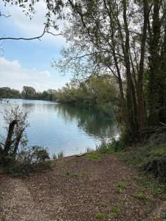 The Restful Rose at Chichester Lakeside - 7