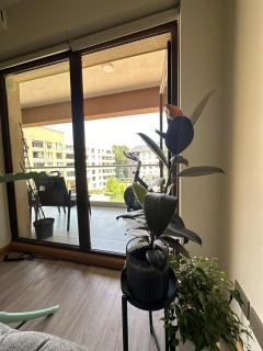 Departamento 1 dormitorio, terraza - 8
