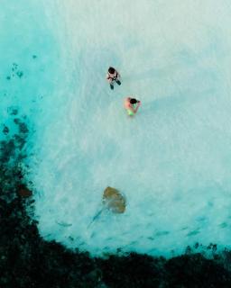 Endorphins Beach Villa - Dhiffushi - 3
