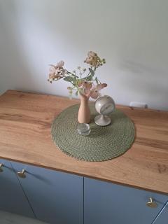 Apartman Viktorija - 1