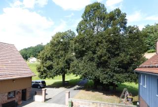 Ferienunterkünfte Zur Mühle - 3