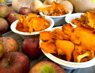 Cabin on Wheels • Cozy Forest and Farm Retreat - 6