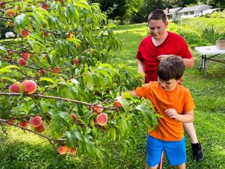 Cabin on Wheels • Cozy Forest and Farm Retreat - 2