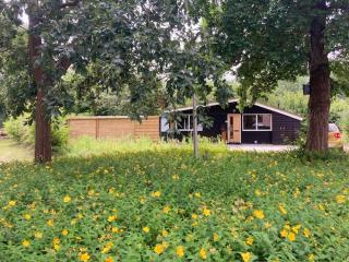 Bungalow De Zwaluw - 0