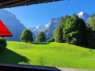 Chalet Grindelwald Gletscher - Boutique Apartment - 9