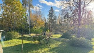 Hännänpää - TailTip - 2