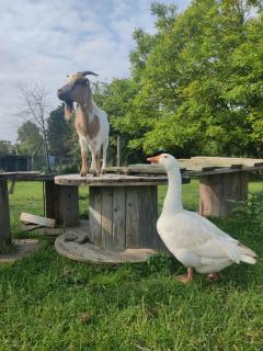 Gîte 4 à 8 pers, convivialité et confort - 8