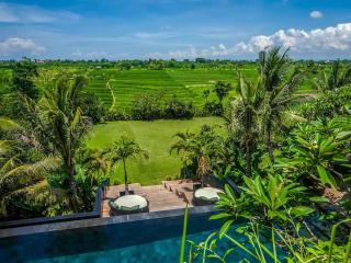 Villa Mana - 1