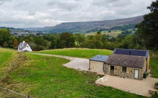 Neddy Meadow - 0