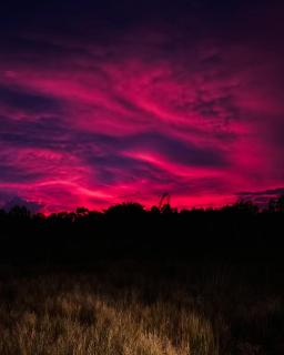 The Buddha Village - 8