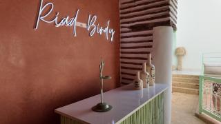 Riad Birdy - 4