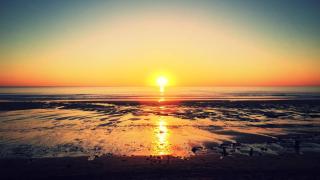 Le Sunset - 0