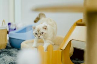 B2 Romance Resort บีสแควร์ โรแมนซ์ รีสอร์ท - 7