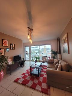 Gerland T2 standing - balcon - parking privé souterrain - 5