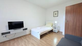 Business Apartment - Zentral mit Privatparkplatz - 2