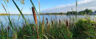 Welcome to Bluebird Cottage - 9